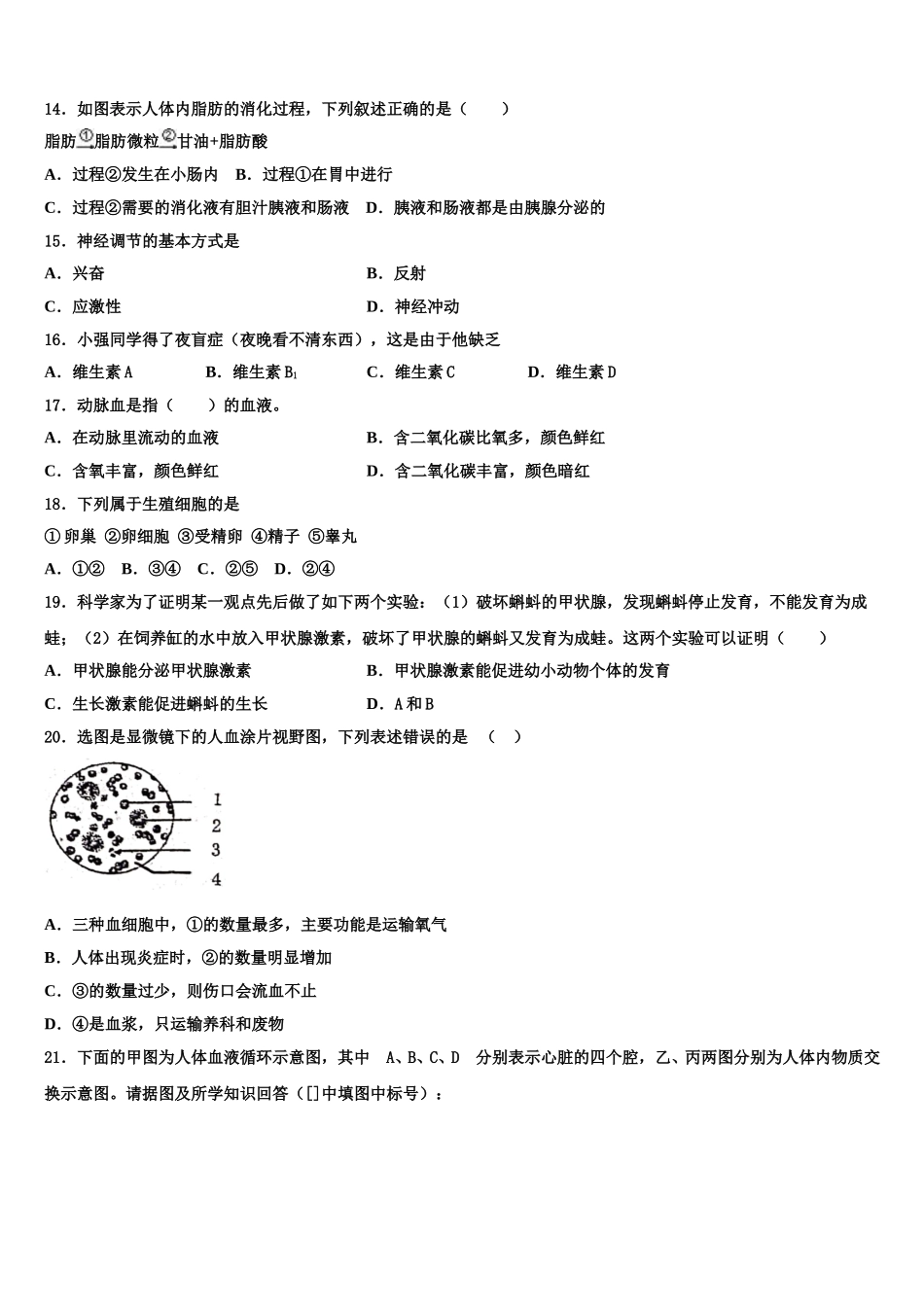 2025年湖南省邵阳市洞口县生物七下期末检测试题含解析_第3页