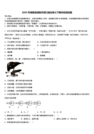 2025年湖南省邵阳市洞口县生物七下期末检测试题含解析