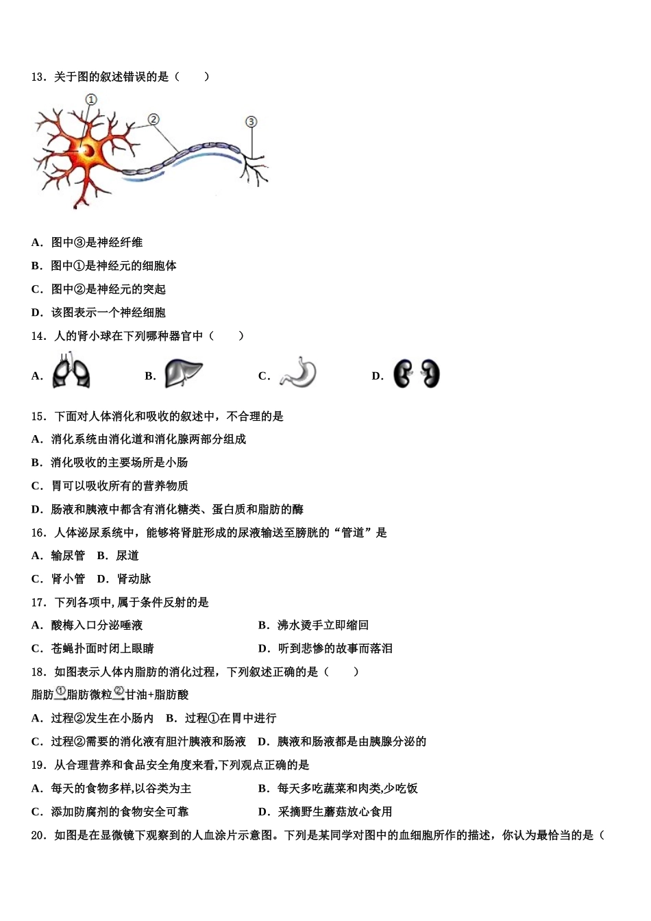 2025届湖南长沙明德集团七年级生物第二学期期末检测模拟试题含解析_第3页