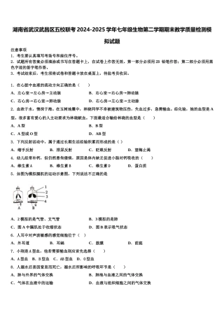 湖南省武汉武昌区五校联考2024-2025学年七年级生物第二学期期末教学质量检测模拟试题含解析