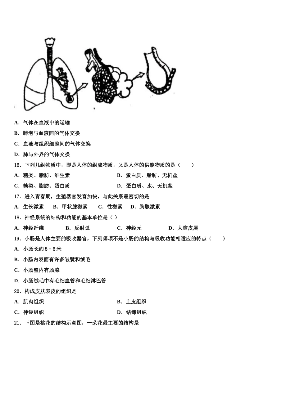 2025年湘西市重点中学七年级生物第二学期期末学业质量监测模拟试题含解析_第3页