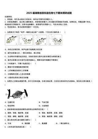 2025届湖南省邵东县生物七下期末调研试题含解析