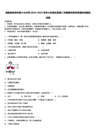 湖南省株洲市第十九中学2024-2025学年七年级生物第二学期期末教学质量检测模拟试题含解析