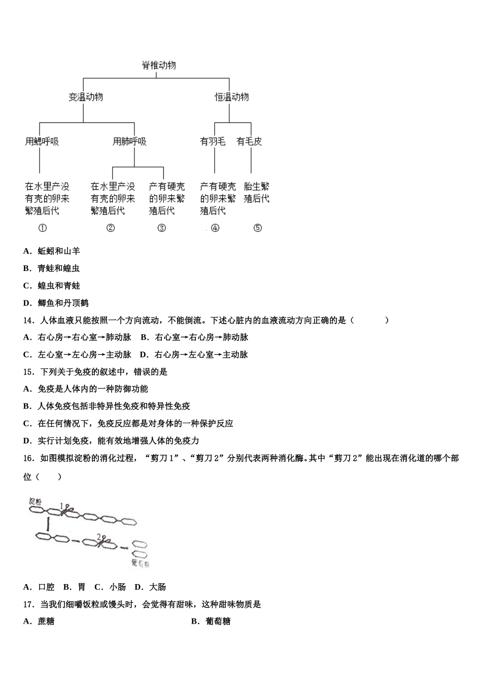 2025届湖南师大附中教育集团七下生物期末复习检测模拟试题含解析_第3页