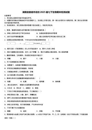 湖南省娄底市名校2025届七下生物期末检测试题含解析