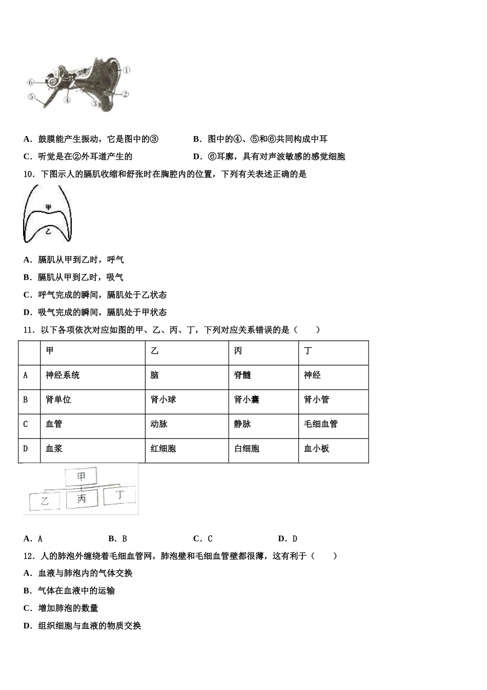 湖南省耒阳市2025年七年级生物第二学期期末经典试题含解析_第2页