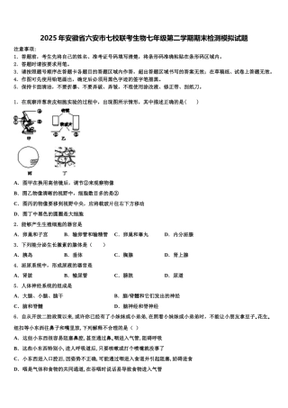 2025年安徽省六安市七校联考生物七年级第二学期期末检测模拟试题含解析