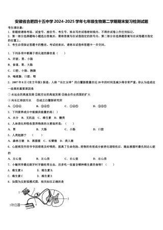 安徽省合肥四十五中学2024-2025学年七年级生物第二学期期末复习检测试题含解析