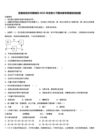 安徽省安庆市桐城市2025年生物七下期末教学质量检测试题含解析