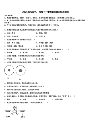 2025年安庆九一六校七下生物期末复习检测试题含解析