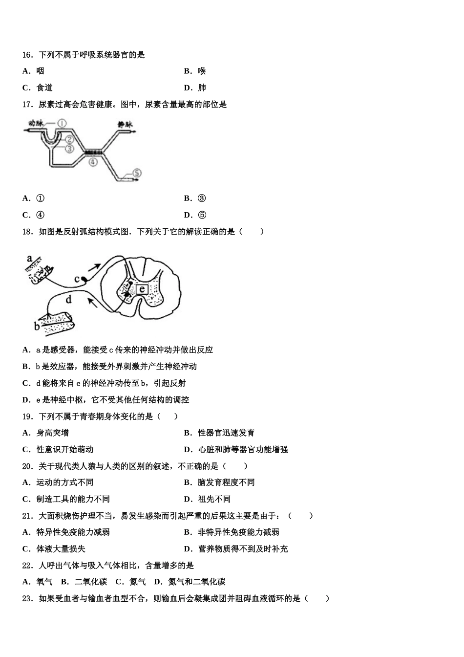 2025届安徽省宿州市第五中学生物七年级第二学期期末教学质量检测试题含解析_第3页