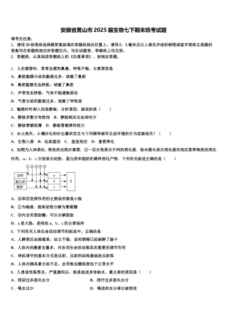 安徽省黄山市2025届生物七下期末统考试题含解析