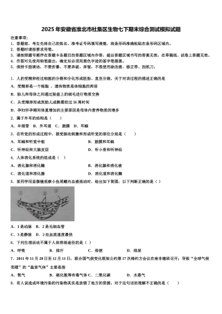 2025年安徽省淮北市杜集区生物七下期末综合测试模拟试题含解析