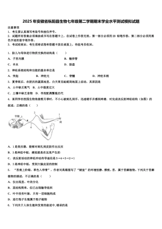 2025年安徽省枞阳县生物七年级第二学期期末学业水平测试模拟试题含解析