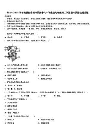 2024-2025学年安徽省合肥市第四十六中学生物七年级第二学期期末质量检测试题含解析
