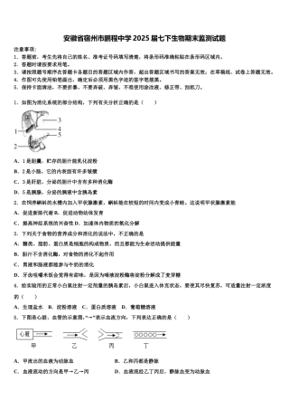 安徽省宿州市鹏程中学2025届七下生物期末监测试题含解析