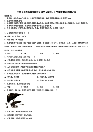 2025年安徽省淮南市大通区（东部）七下生物期末经典试题含解析