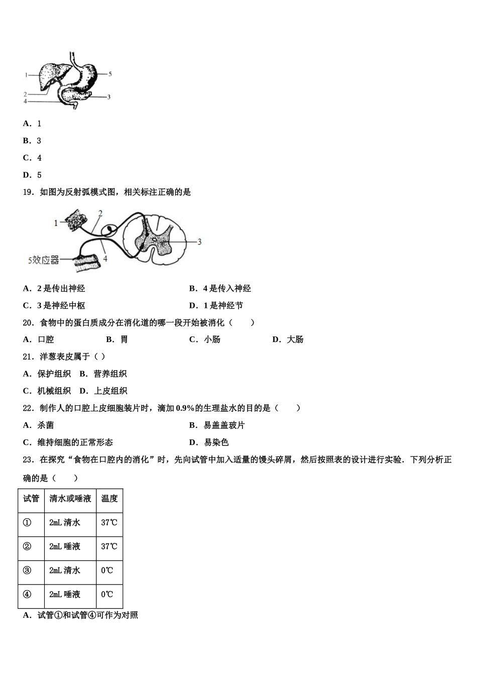 安徽省合肥168中学2025届七下生物期末经典模拟试题含解析_第3页