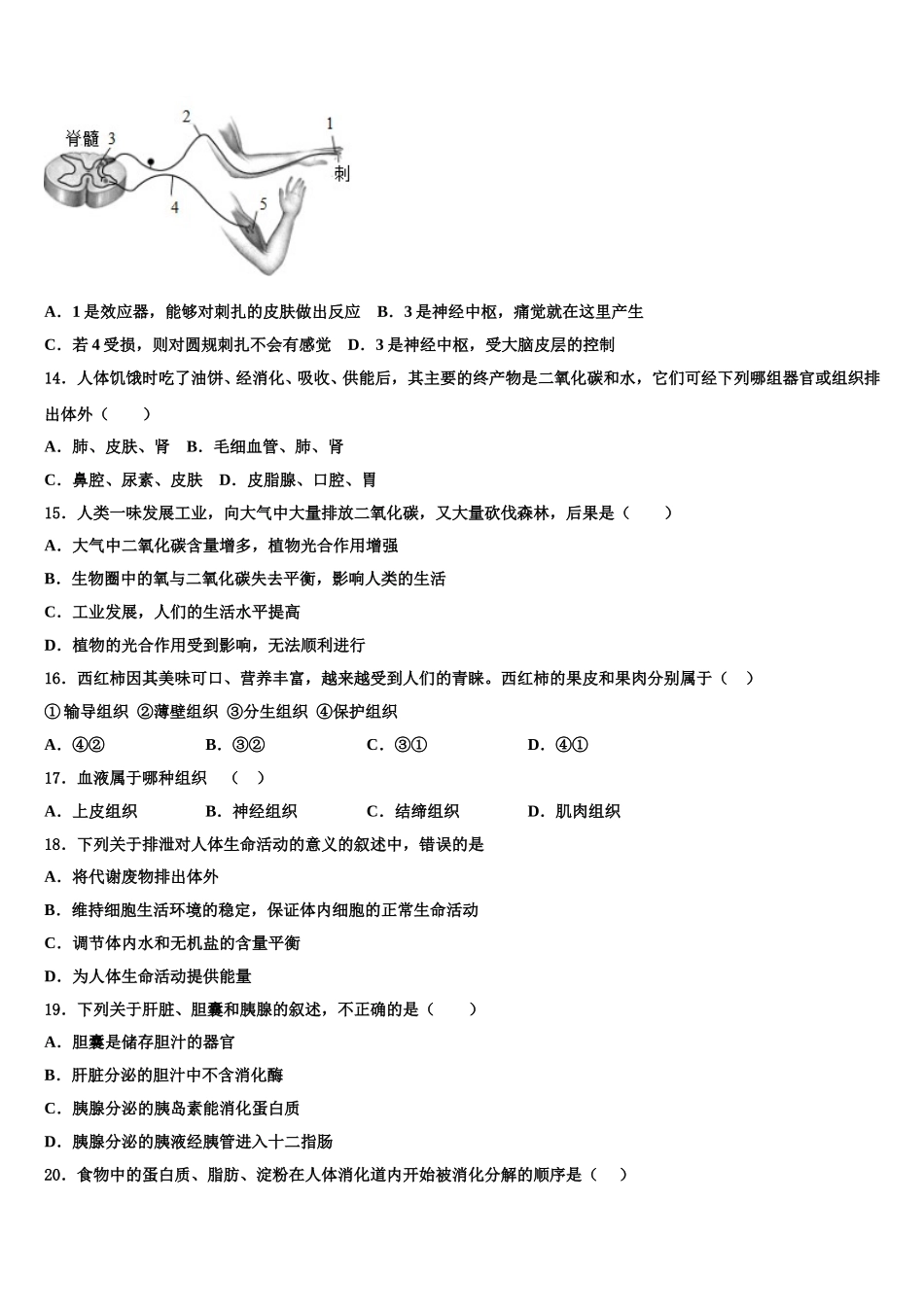 安徽合肥市2024-2025学年生物七下期末统考模拟试题含解析_第3页
