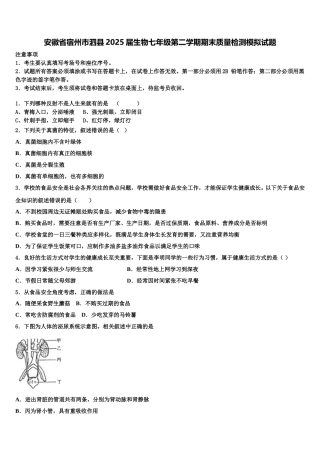 安徽省宿州市泗县2025届生物七年级第二学期期末质量检测模拟试题含解析