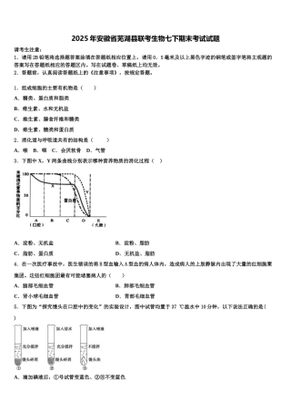 2025年安徽省芜湖县联考生物七下期末考试试题含解析