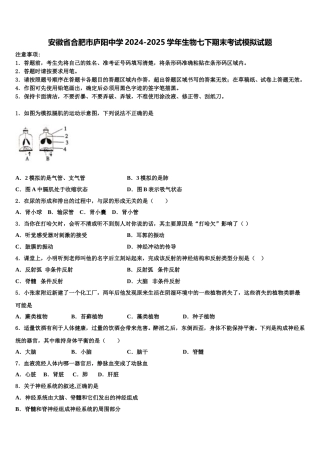 安徽省合肥市庐阳中学2024-2025学年生物七下期末考试模拟试题含解析