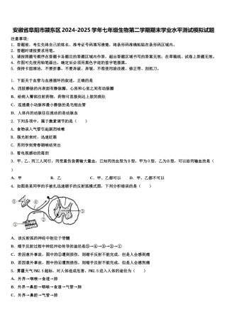 安徽省阜阳市颍东区2024-2025学年七年级生物第二学期期末学业水平测试模拟试题含解析