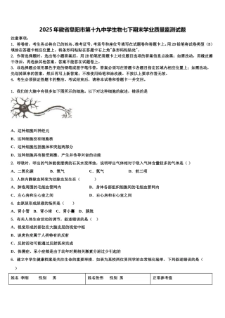 2025年徽省阜阳市第十九中学生物七下期末学业质量监测试题含解析