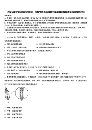 2025年安徽省宿州市宿城一中学生物七年级第二学期期末教学质量检测模拟试题含解析