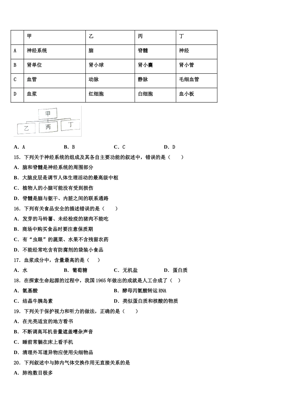 安徽省濉溪县联考2025年生物七下期末达标检测试题含解析_第3页
