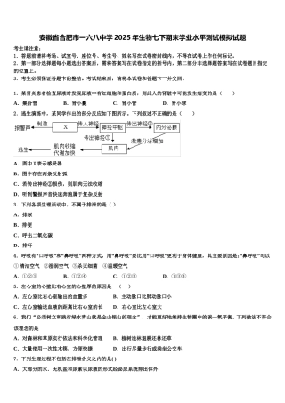 安徽省合肥市一六八中学2025年生物七下期末学业水平测试模拟试题含解析