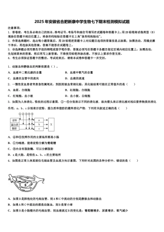 2025年安徽省合肥新康中学生物七下期末检测模拟试题含解析