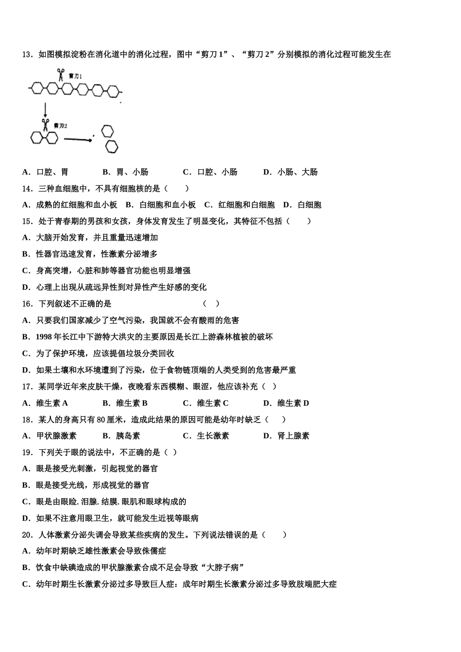 2025届安徽省桐城市第二中学生物七年级第二学期期末学业质量监测试题含解析_第3页