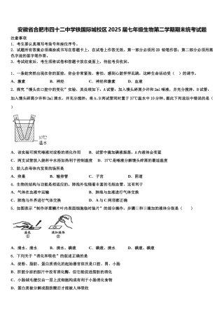 安徽省合肥市四十二中学铁国际城校区2025届七年级生物第二学期期末统考试题含解析