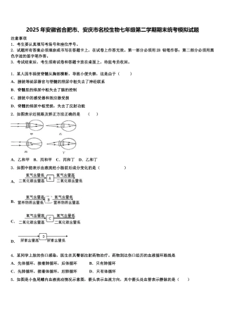 2025年安徽省合肥市、安庆市名校生物七年级第二学期期末统考模拟试题含解析