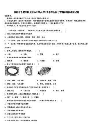 安徽省合肥市科大附中2024-2025学年生物七下期末考试模拟试题含解析