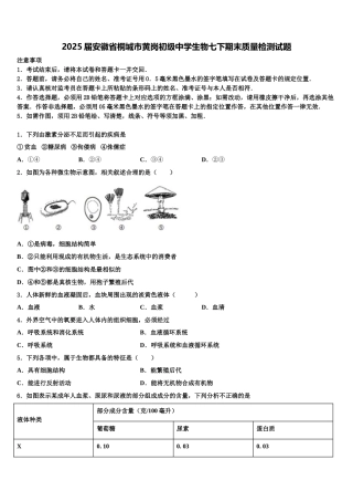 2025届安徽省桐城市黄岗初级中学生物七下期末质量检测试题含解析