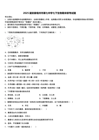 2025届安徽亳州市第七中学七下生物期末联考试题含解析