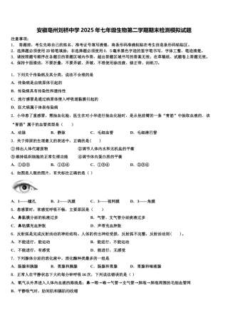 安徽亳州刘桥中学2025年七年级生物第二学期期末检测模拟试题含解析