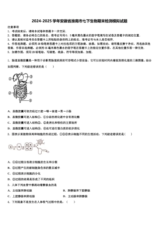 2024-2025学年安徽省淮南市七下生物期末检测模拟试题含解析