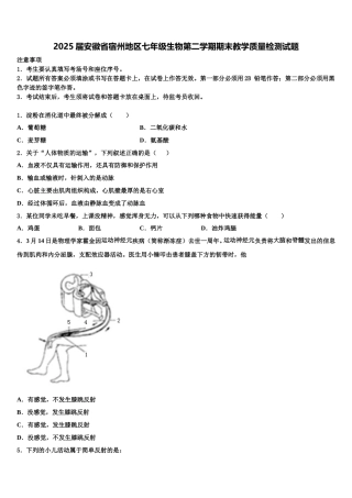 2025届安徽省宿州地区七年级生物第二学期期末教学质量检测试题含解析