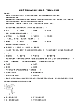 安徽省宣城市中学2025届生物七下期末检测试题含解析