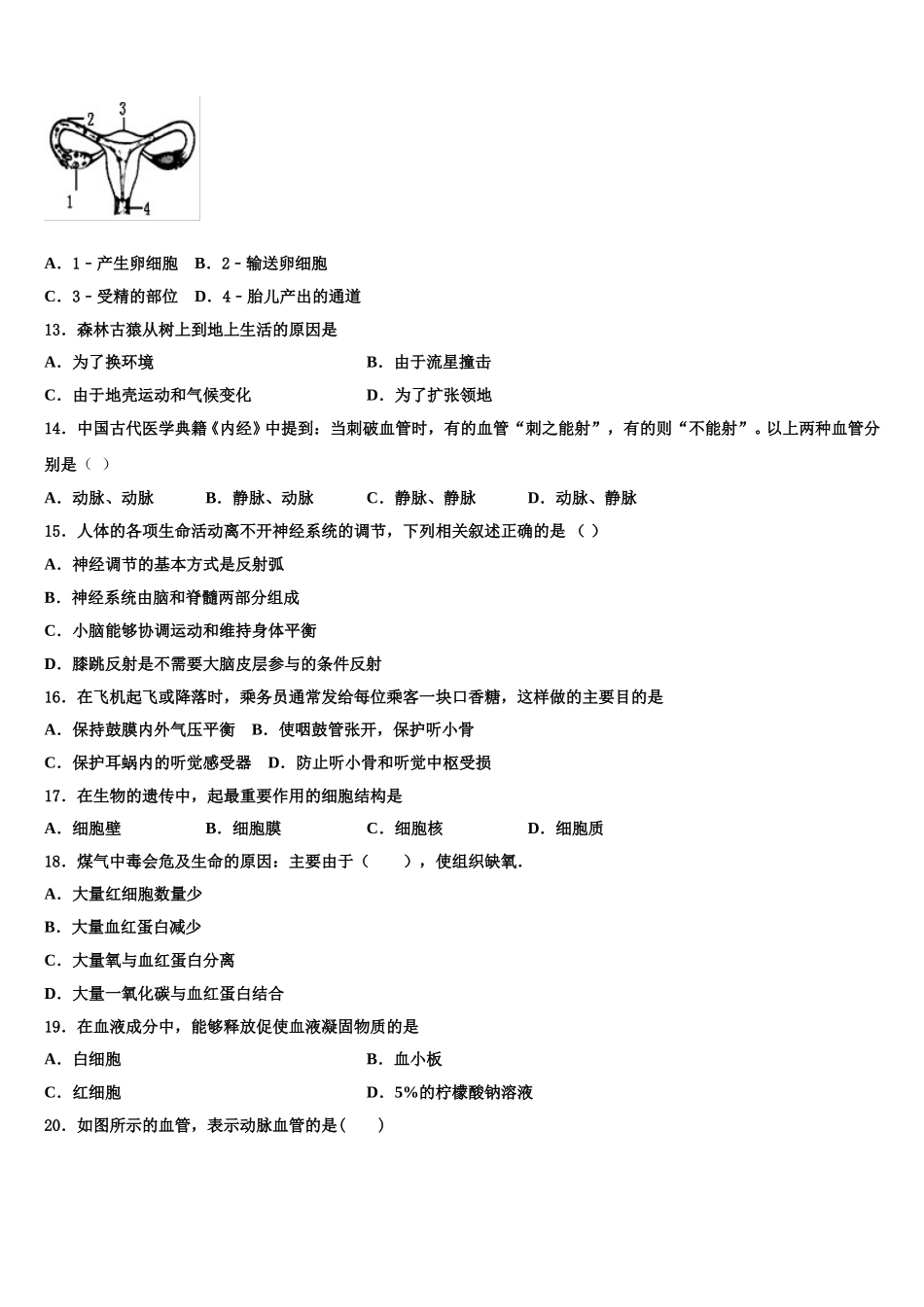 2024-2025学年安徽合肥包河区四十八中学七年级生物第二学期期末质量检测试题含解析_第3页