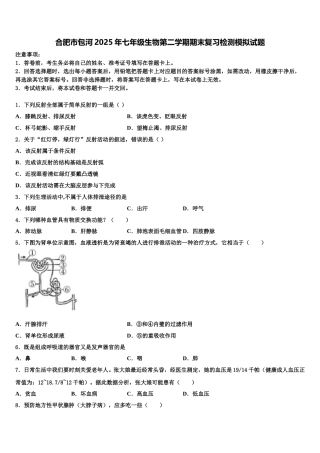 合肥市包河2025年七年级生物第二学期期末复习检测模拟试题含解析