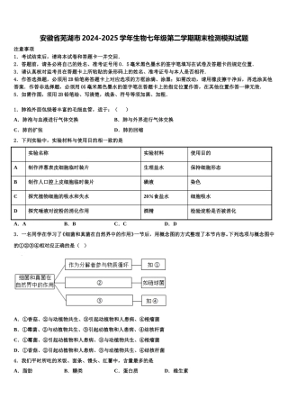 安徽省芜湖市2024-2025学年生物七年级第二学期期末检测模拟试题含解析