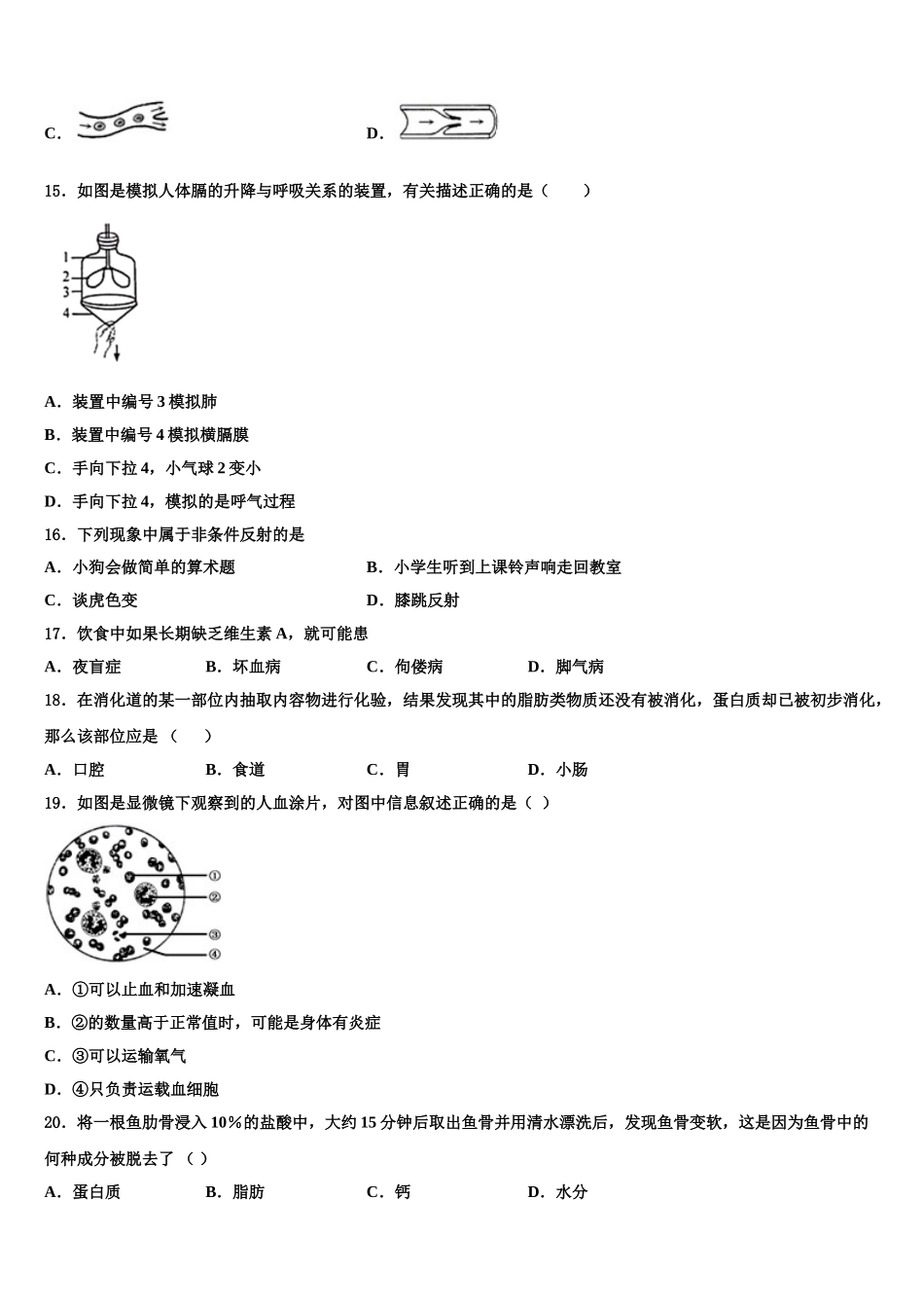 2025届安徽省合肥市肥西县七下生物期末质量检测模拟试题含解析_第3页