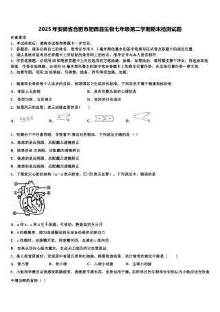 2025年安徽省合肥市肥西县生物七年级第二学期期末检测试题含解析
