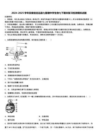 2024-2025学年安徽省定远县七里塘中学生物七下期末复习检测模拟试题含解析