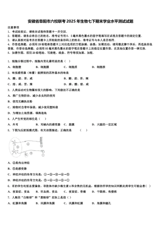 安徽省阜阳市六校联考2025年生物七下期末学业水平测试试题含解析