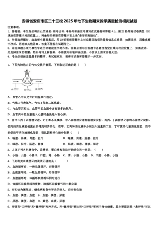安徽省安庆市区二十三校2025年七下生物期末教学质量检测模拟试题含解析